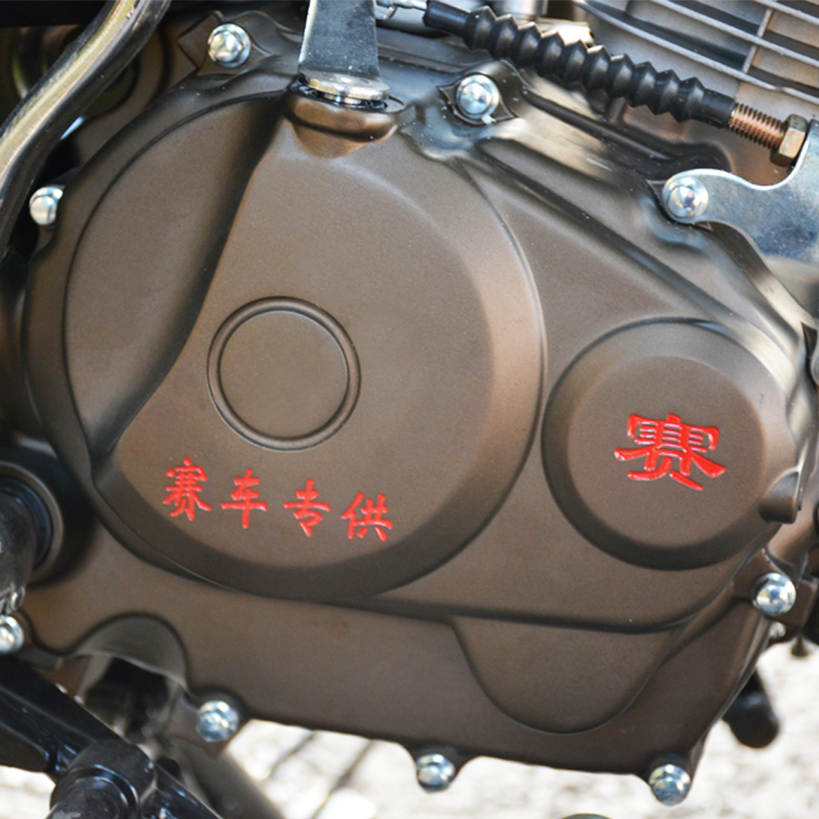 Hailing 2-Cylinder 4-Stroke Motorcycle BL ZLink